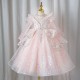 Kids Girls' Flower Girl Dress Party Dress Solid Color Long Sleeves Formal Performance Wedding Mesh Princess Tulle Dress Flower Girl's Dress Spring Fall Winter 2-12 XF101005