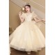Kids Girls' Flower Girl Dress Party Dress Solid Color Short Sleeves Formal Performance Wedding Mesh Princess Tulle Dress Flower Girl's Dress Spring Fall Winter 2-12 XF101006