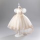 Princess High Low Puff Sleeves Tulle Lace Flower Girl Dresses Performance Birthday Party Dress XF101015
