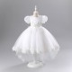 Princess High Low Puff Sleeves Tulle Lace Flower Girl Dresses Performance Birthday Party Dress XF101015