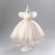Princess High Low Puff Sleeves Tulle Lace Flower Girl Dresses Performance Birthday Party Dress XF101015