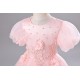 Princess High Low Puff Sleeves Tulle Lace Flower Girl Dresses Performance Birthday Party Dress XF101015
