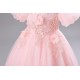 Princess High Low Puff Sleeves Tulle Lace Flower Girl Dresses Performance Birthday Party Dress XF101015