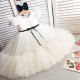 Toddler Baby Wedding Girl Dress Birthday Party Dress Flower Girl Dresses XF101021