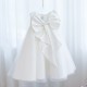 Cute Princess Flower Girl Dresses Birthday Party Dresses XF101022