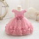 Blush Pink Lace Tulle Flower Girl Dresses with 3D Floral Waist Accent and Petal Trim Formal Wedding Pageant Gown for Toddler Girls XF101031