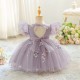 Dusty Purple Floral Embroidered Toddler Princess Tulle Dress Cute Puff Sleeve Dress Baby Girl Flower Girl Dresses XF101049