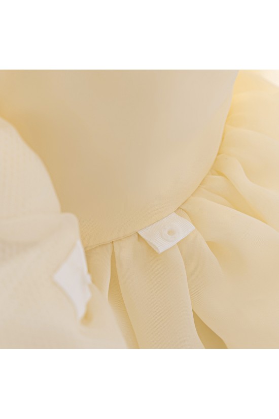 Champagne Cute Bow Baby Girl Princess Dress Birthday Wedding Party Flower Girl Dresses XF101054