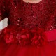 Girls' Toddler Red Sequins Tulle Short Sleeve Birthday Party Wedding Flower Girl Dresses with Bow XF101058