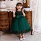 Sequins Tulle Princess Dress Dark Green Birthday Wedding Party Flower Girl Dresses with Bow XF101060