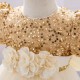 Sequins Tulle Princess Dress Gold Birthday Wedding Party Flower Girl Dresses with Bow XF101070 Sequins Tulle Princess Dress Gold Birthday Wedding Party Flower Girl Dresses with Bow XF101070