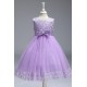 Cute Lace and Tulle Wedding Party Flower Girl Dresses XF101092