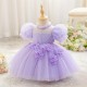 Cute Kids Princess Beaded Tulle Dress with Puff Sleeves Wedding Birthday Party Flower Girl Dresses with 3D Flowers XF101122
