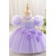 Cute Kids Princess Beaded Tulle Dress with Puff Sleeves Wedding Birthday Party Flower Girl Dresses with 3D Flowers XF101122