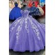 Gorgeous Lace and Tulle Prom Dresses Formal Evening Party Dresses XP101022